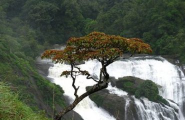 2018080623 1 olwck7q2o8fde4qhhusspqk5nxo8j1xpwtmw0nxgps