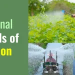traditional methods of irrigation