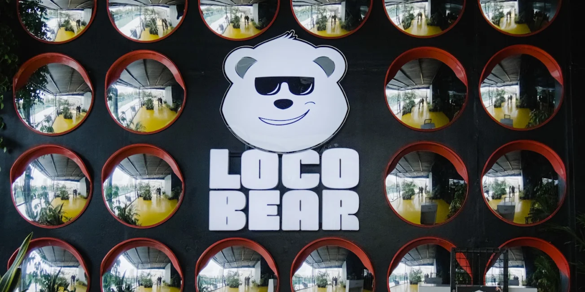 Loco Bear