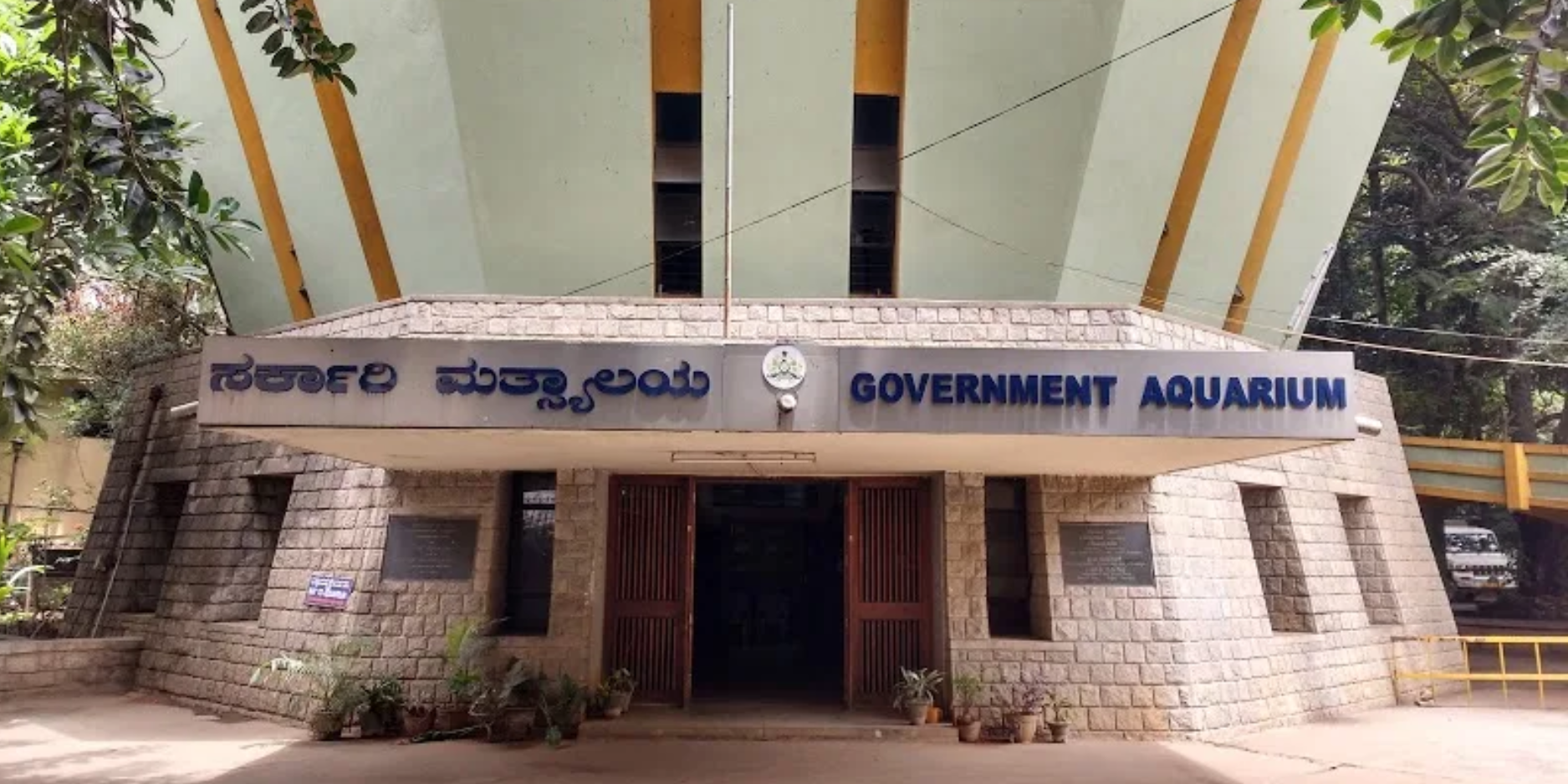 Namma Bengaluru Aquarium