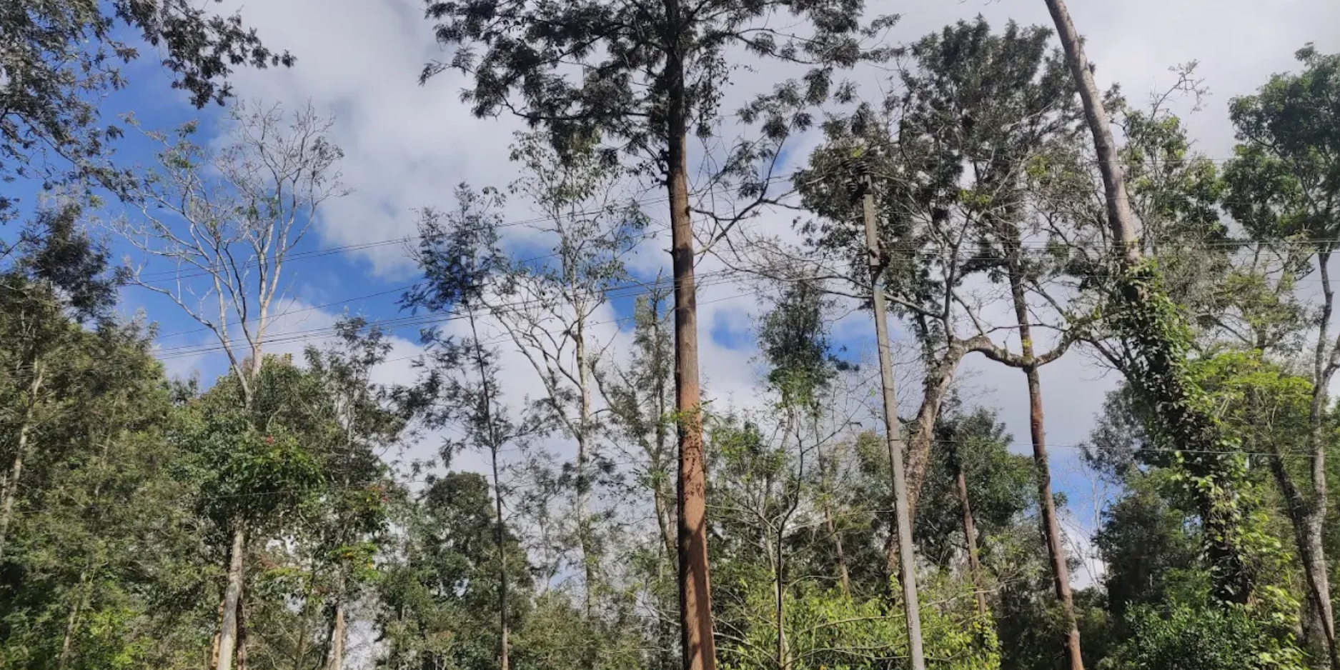 Realty Coorg Land Developers and Real Estate Agency